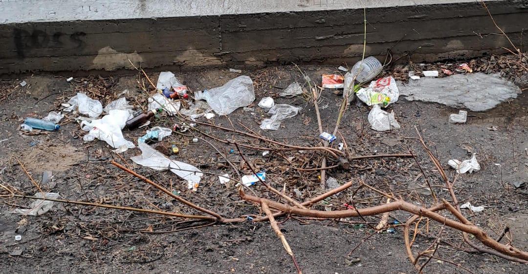 Фото «Город-помойка»? Новосибирцы возмущаются из-за гор мусора в мегаполисе. Фоторепортаж 12